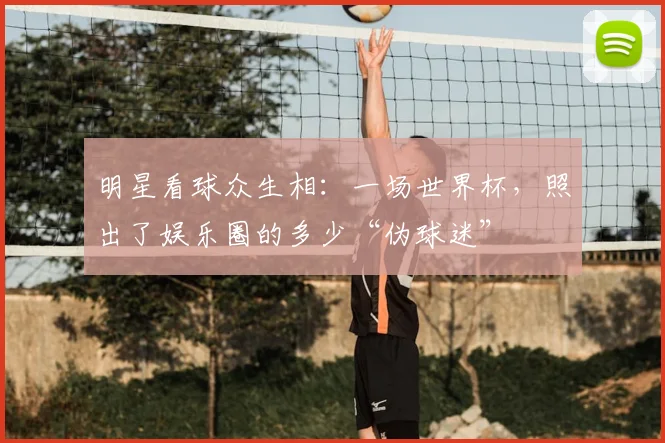 明星看球众生相:一场世界杯,照出了娱乐圈的多少“伪球迷”