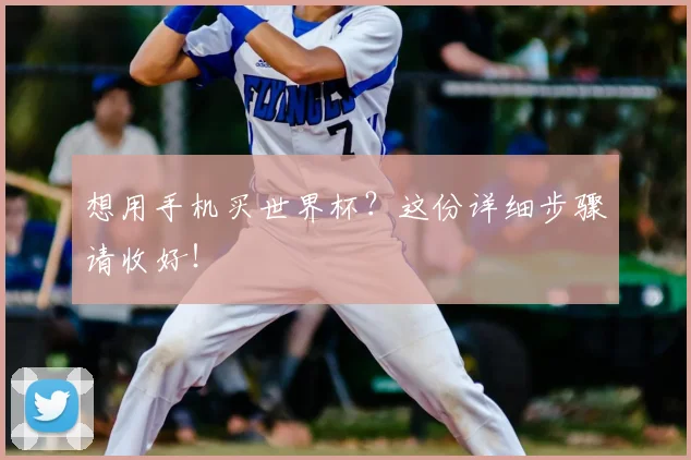 想用手机买世界杯?这份详细步骤请收好!