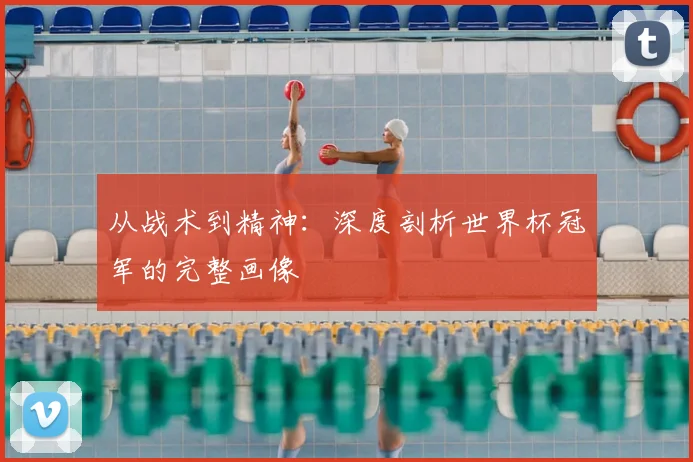 从战术到精神：深度剖析世界杯冠军的完整画像