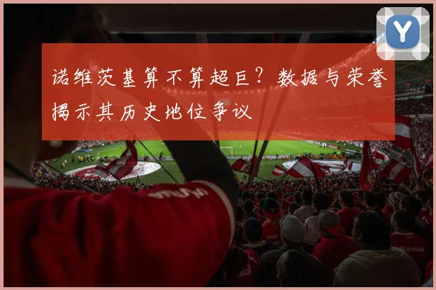 诺维茨基算不算超巨?数据与荣誉揭示其历史地位争议